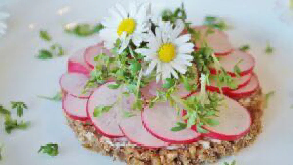 Danish smørrebrød on dark rye bread topped with cucumber and herbs