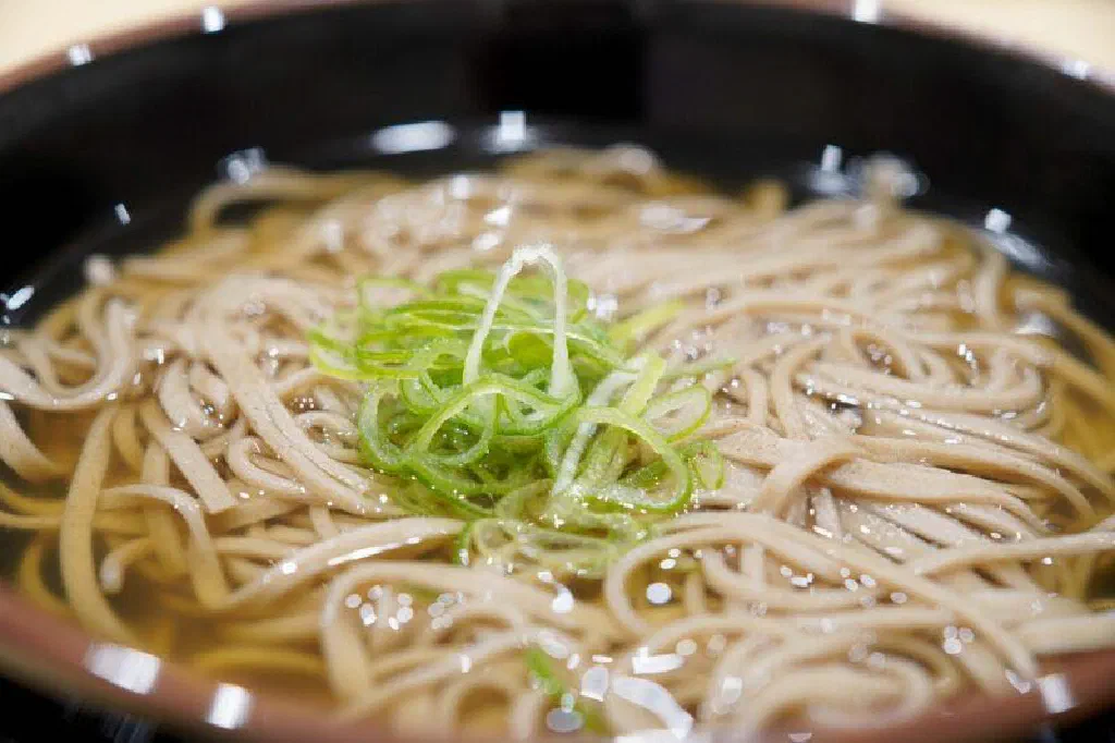 Chilled soba noodles with spring onion and a bowl of dipping sauce