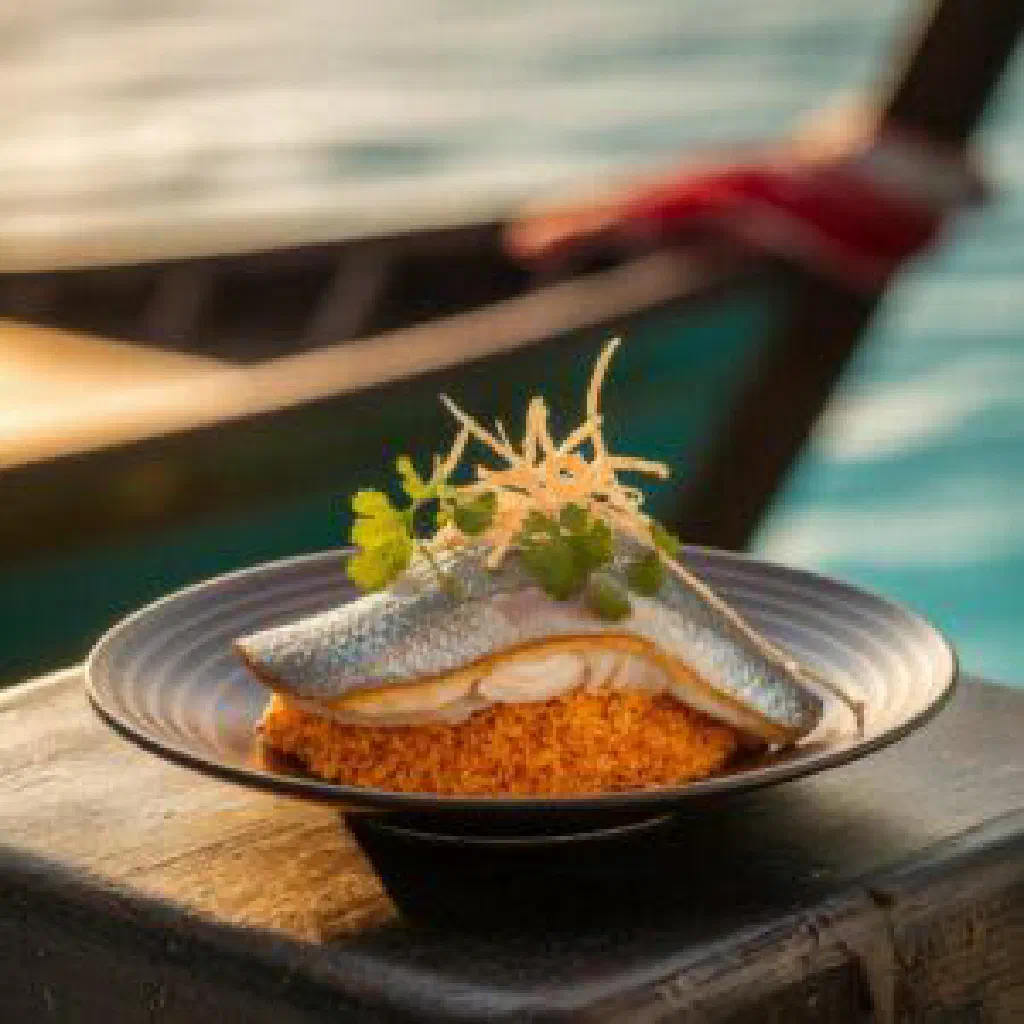 Bowl of Maldivian hiki mas fish soup with coconut milk and fresh coriander