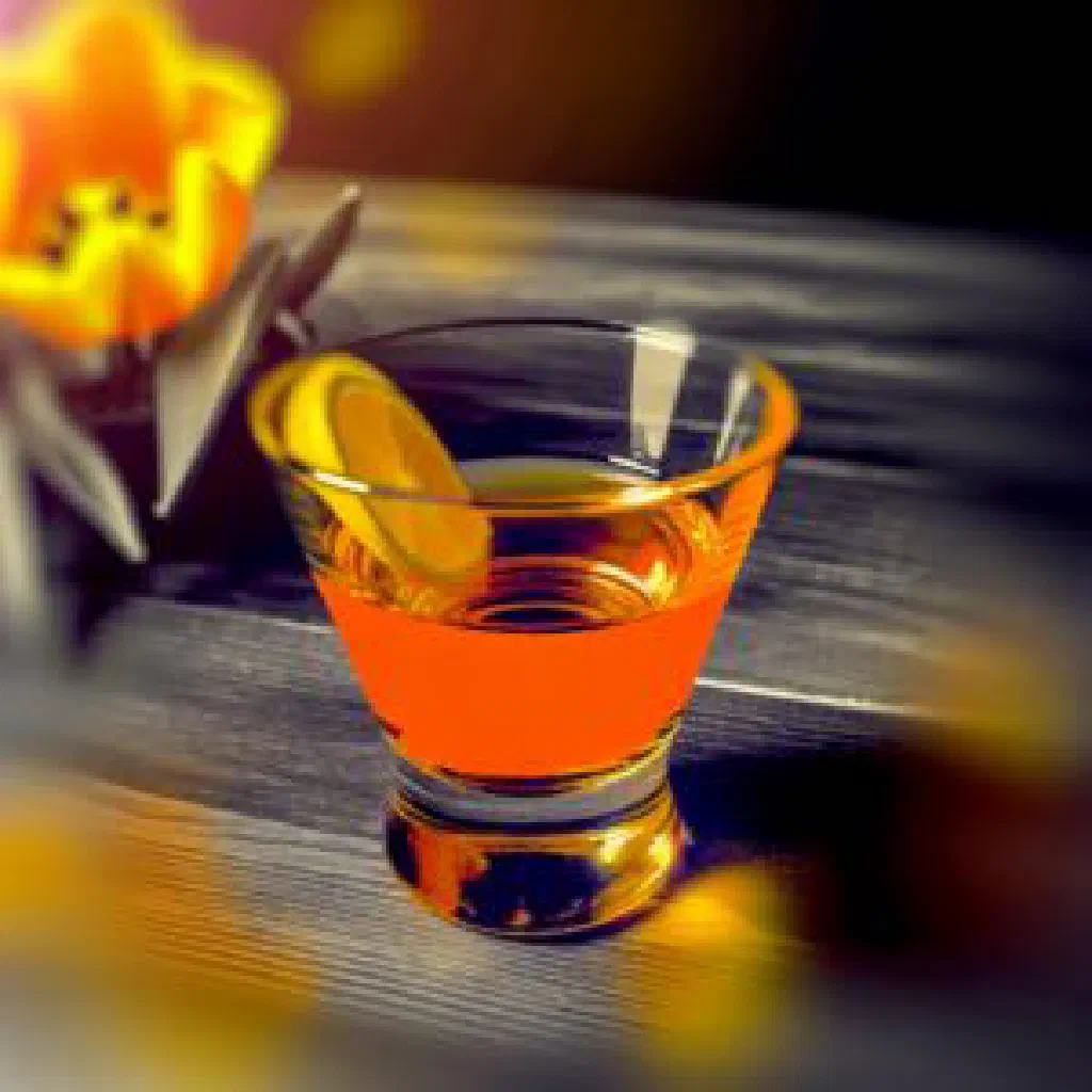 Glass of Oranje Bitter over ice garnished with an orange slice